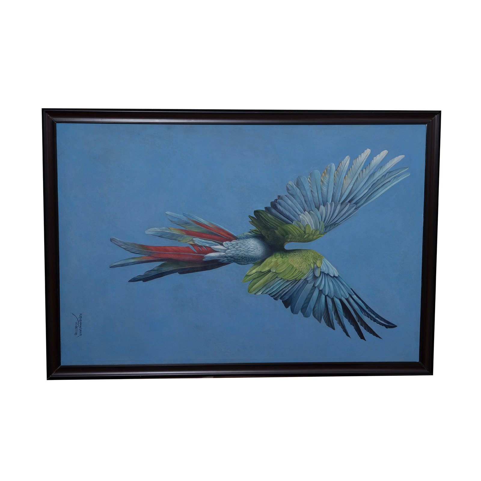Wings of Freedom