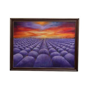 Fields of Serenity